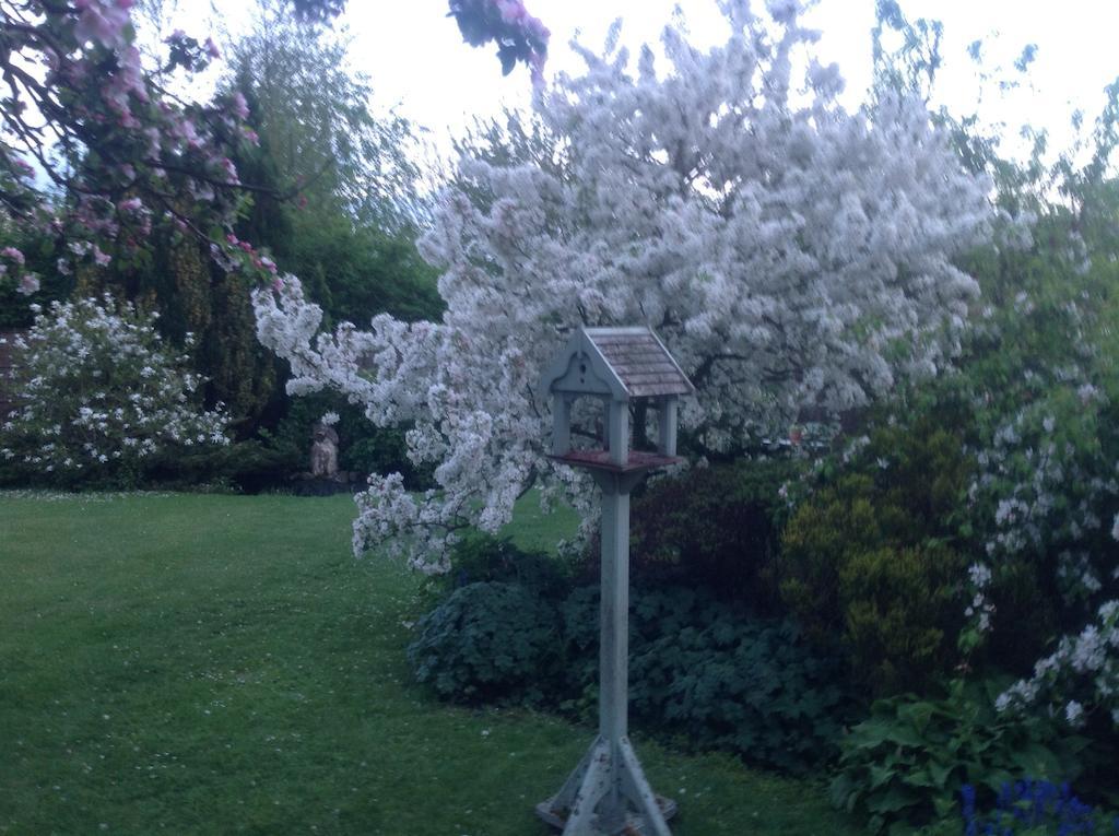 White House Farm Bed and Breakfast Hindolveston Εξωτερικό φωτογραφία